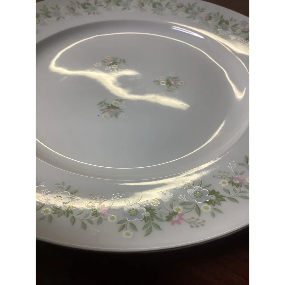 Johann Haviland Dinner Plate Bavaria Germany Forever Spring China 10